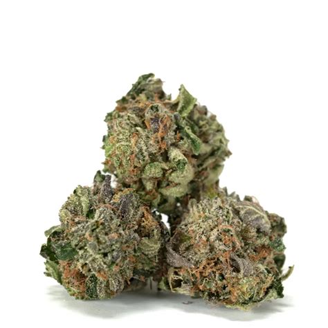 gucci pink weed|gucci pink for sale.